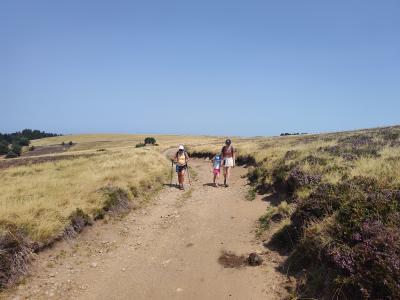 Saint bonnet le courreau