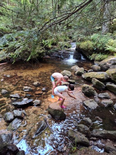 Saint bonnet le courreau