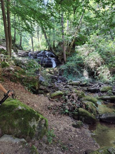 Saint bonnet le courreau