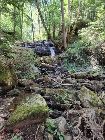 Saint bonnet le courreau