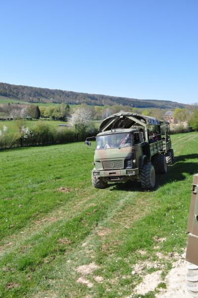 La visite des Bisons