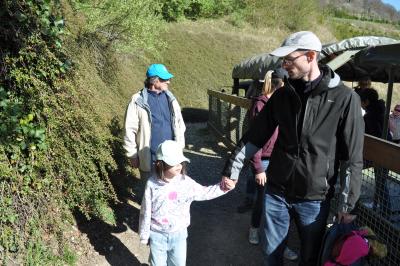 La visite des Bisons