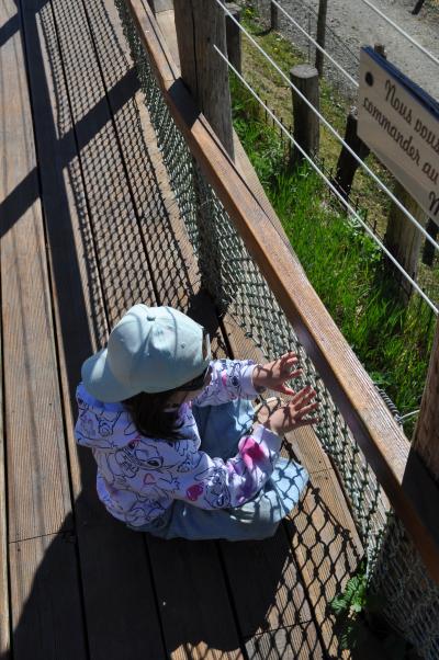 Repas en famille autour d'une bonne viande de bison