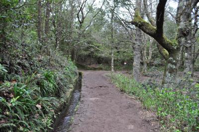 Randonnée de la Levada do Caldeirão Verde