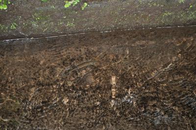 Randonnée de la Levada do Caldeirão Verde