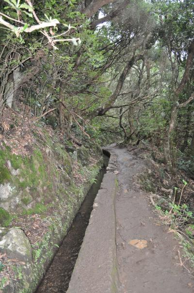 Randonnée de la Levada do Caldeirão Verde