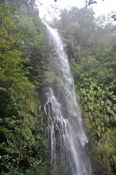 Randonnée de la Levada do Caldeirão Verde