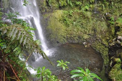 Randonnée de la Levada do Caldeirão Verde