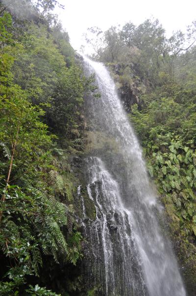 Randonnée de la Levada do Caldeirão Verde