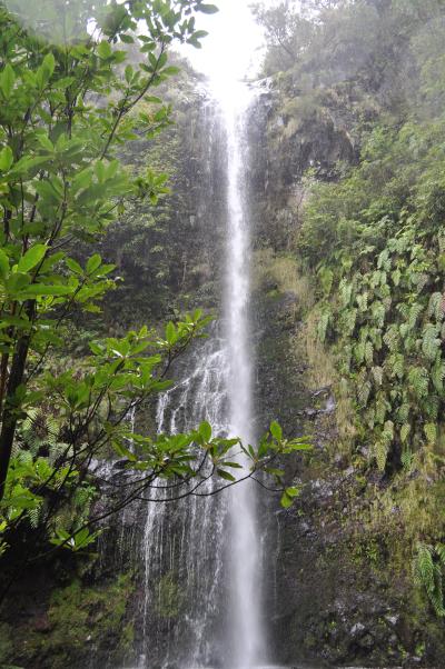 Randonnée de la Levada do Caldeirão Verde