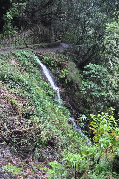 Randonnée de la Levada do Caldeirão Verde