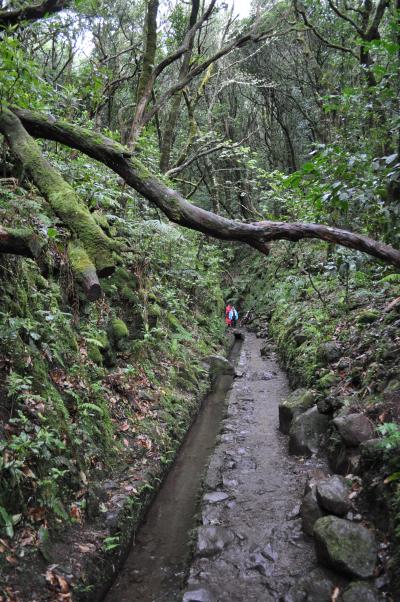 Randonnée de la Levada do Caldeirão Verde