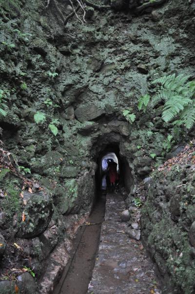 Randonnée de la Levada do Caldeirão Verde