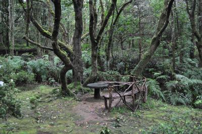 Randonnée de la Levada do Caldeirão Verde