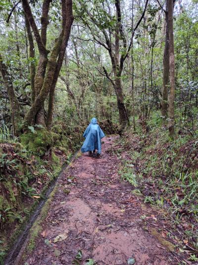 Randonnée de la Levada do Caldeirão Verde