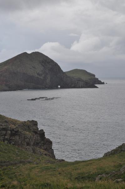 Visite de la Ponta de São Lourenço