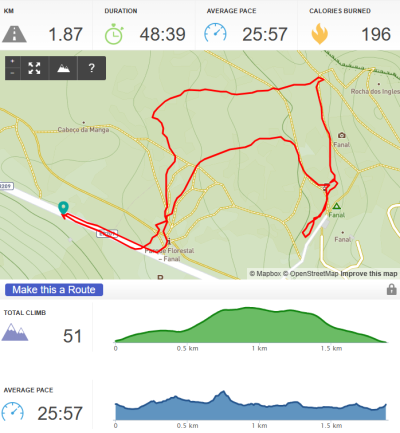 Randonnée dans la foret de Fanal