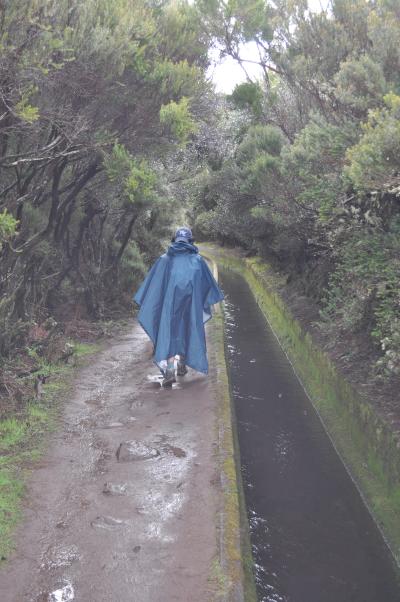 En route pour la Levada do Alecrim