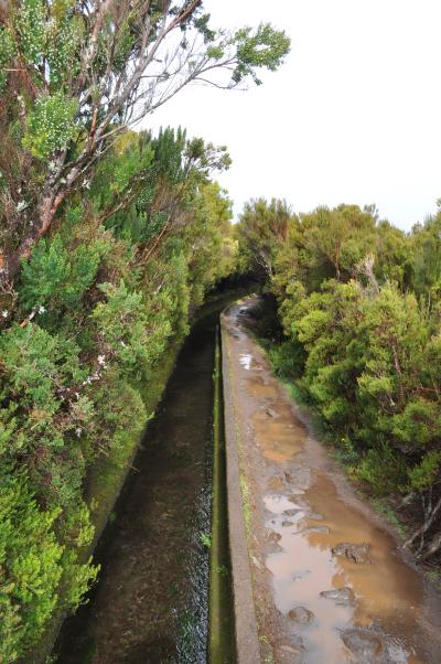 En route pour la Levada do Alecrim