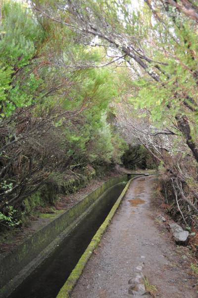 En route pour la Levada do Alecrim