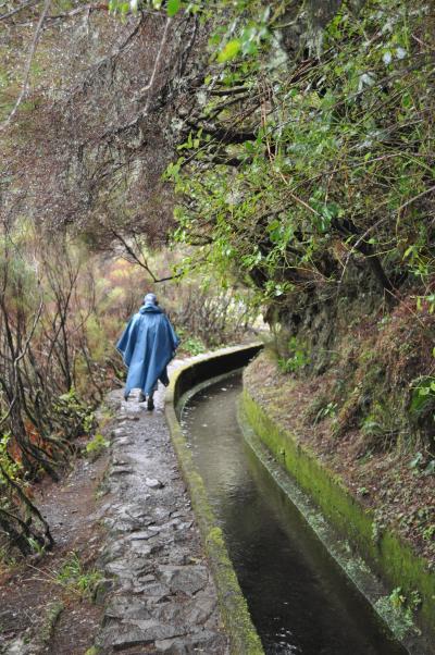 En route pour la Levada do Alecrim