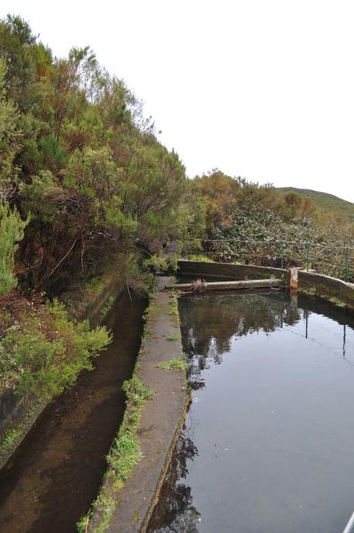 En route pour la Levada do Alecrim