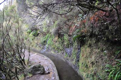 En route pour la Levada do Alecrim
