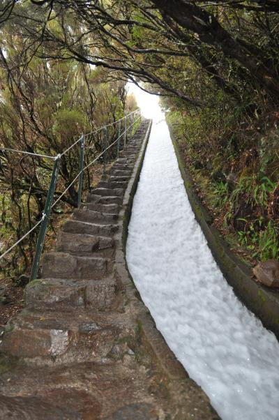 En route pour la Levada do Alecrim