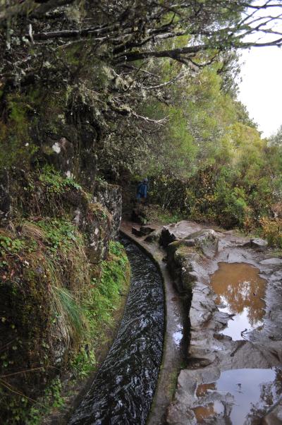 En route pour la Levada do Alecrim