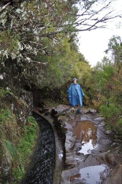 En route pour la Levada do Alecrim
