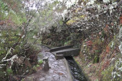 En route pour la Levada do Alecrim