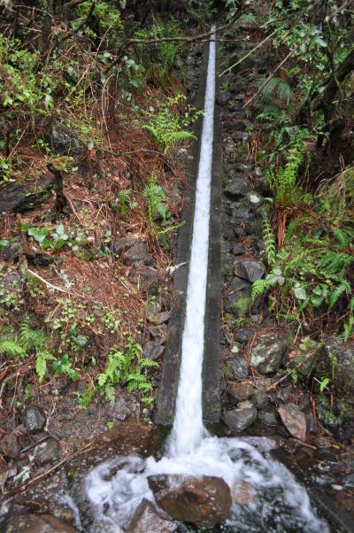 En route pour la Levada do Alecrim