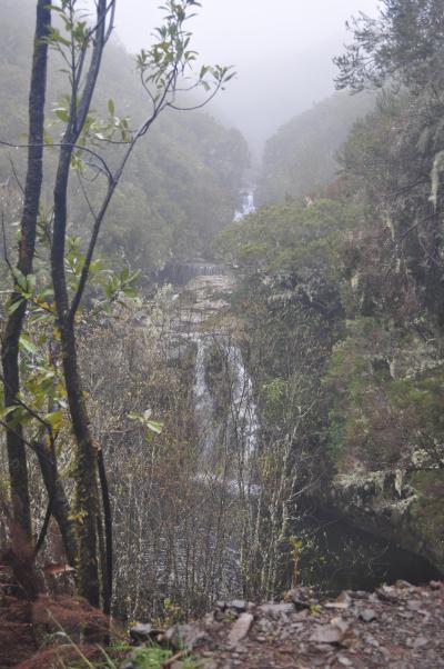 En route pour la Levada do Alecrim