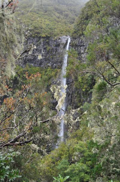 En route pour la Levada do Alecrim