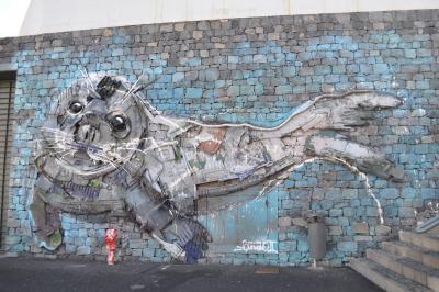 Visite de Câmara de Lobos et repas en bord de mer