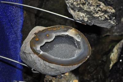 Visite du jardin tropical de Monte palace