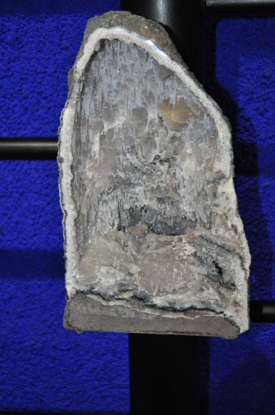 Visite du jardin tropical de Monte palace