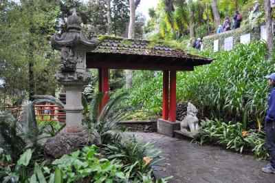 Visite du jardin tropical de Monte palace
