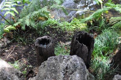 Visite du jardin tropical de Monte palace