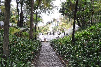 Visite du jardin tropical de Monte palace