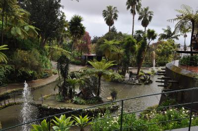 Visite du jardin tropical de Monte palace