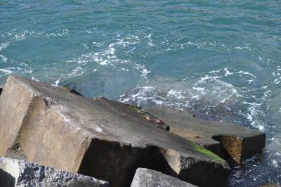 Randonnée à Machico ancienne capital de Madère