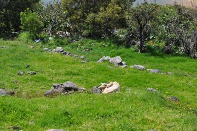 Randonnée à Machico ancienne capital de Madère