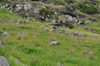 Randonnée à Machico ancienne capital de Madère