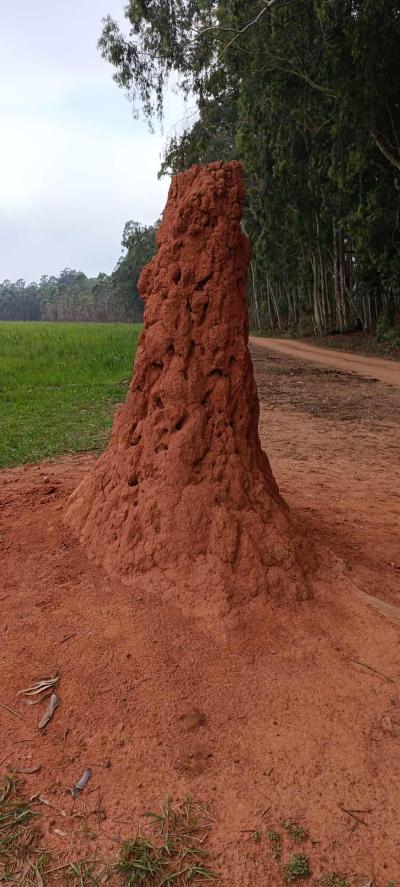 Le royaume du Eswatini / Waterval Bolen