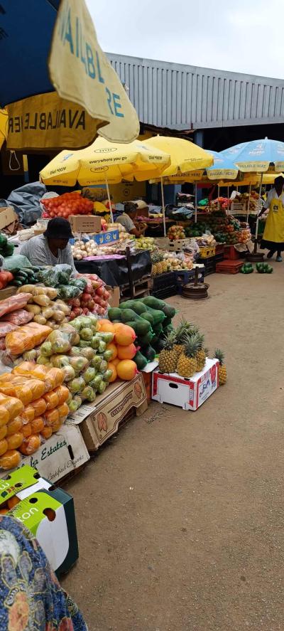 Le royaume du Eswatini / Waterval Bolen