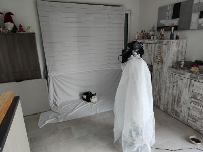 Les préparatifs de la soirée