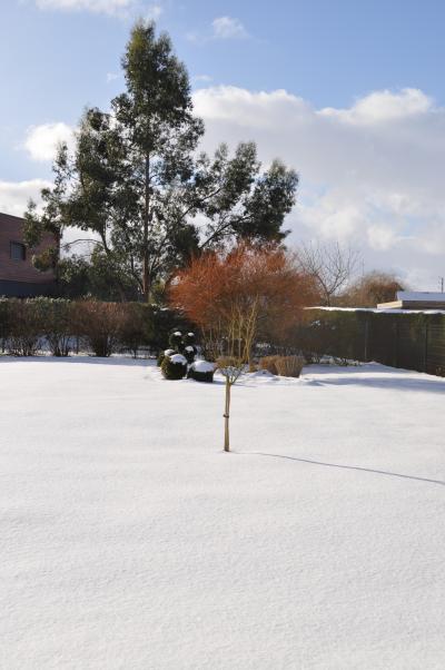 Il neige à nouveau