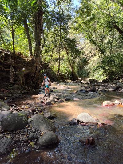 Jour 2 - Direction le nord de l'île
