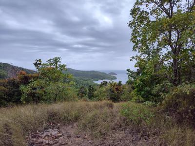 Jour 3 - Presqu'Île de la Caravelle